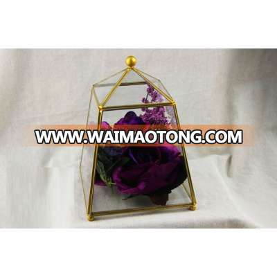 Lovely copper metal frame hanging geometric glass terrarium rose